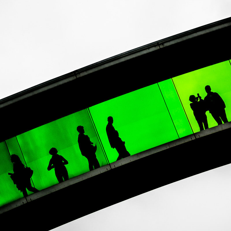 En tur i det gr&oslash;nne | Veggbilder | Fotokunst til salgs | Kunstfoto | Kunst | Foto | Bilde