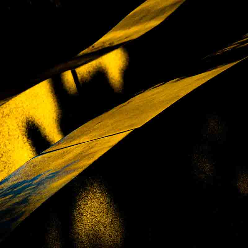 Gullstr&aring;ler | Veggbilder | Fotokunst til salgs | Kunstfoto | Kunst | Foto | Bilde