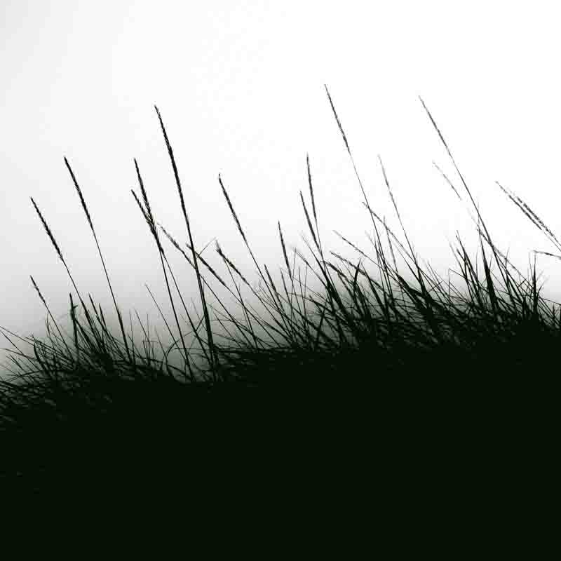 Danske str&aring; | Veggbilder | Fotokunst til salgs | Kunstfoto | Kunst | Foto | Bilde