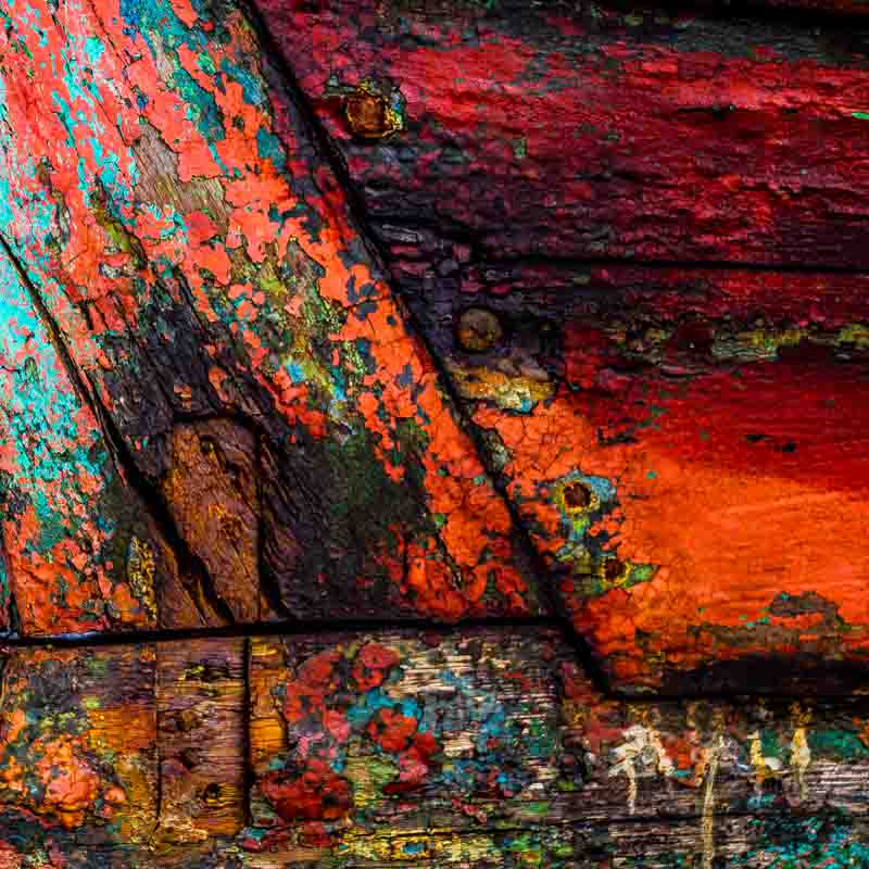 Furet, v&aelig;rbitt | Veggbilder | Fotokunst til salgs | Kunstfoto | Kunst | Foto | Bilde