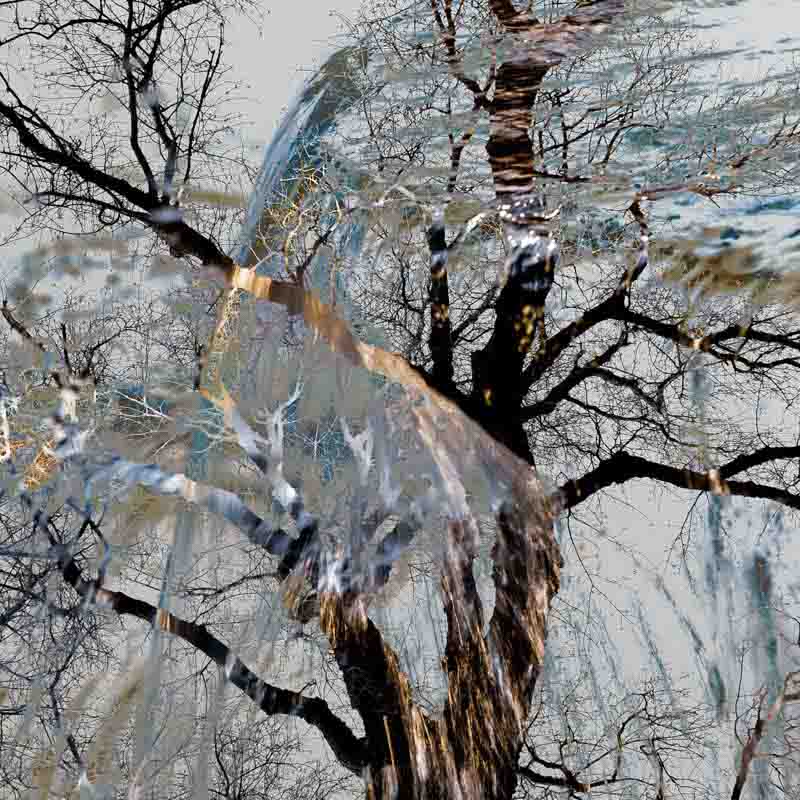 H&oslash;stregn | Veggbilder | Fotokunst til salgs | Kunstfoto | Kunst | Foto | Bilde