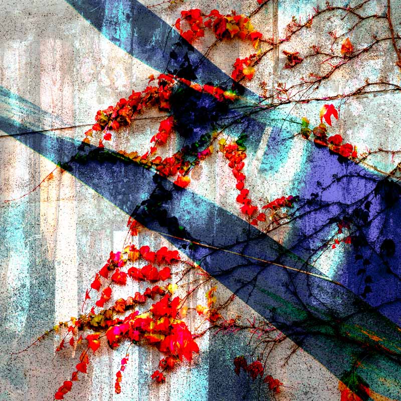 H&oslash;stblues | Veggbilder | Fotokunst til salgs | Kunstfoto | Kunst | Foto | Bilde