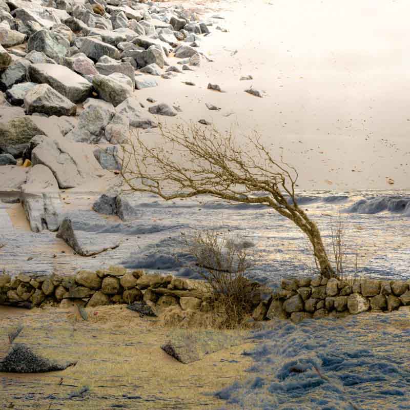 En vanlig dag p&aring; J&aelig;ren | Veggbilder | Fotokunst til salgs | Kunstfoto | Kunst | Foto | Bilde